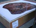 Brilliant Red Petrified Wood Tabletop - x #73202-1